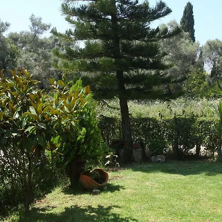 Arokaria